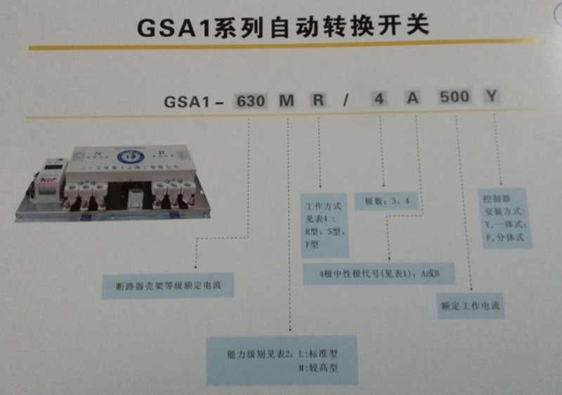 GSA1�Ԅ��D�Q�_�P�x��