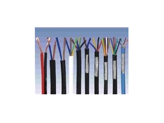 ����ʿ�̳�