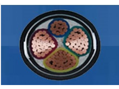 ����ʿ�̳�