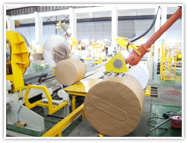 �L̩�C����