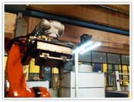 �L̩�C����