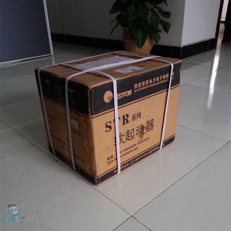 ����_����