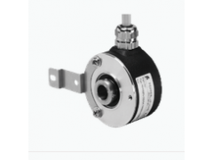 ����ʿ�̳�