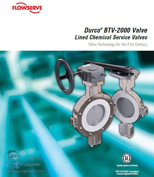 BTV2000 ���r���y-������˹Flowserve-1