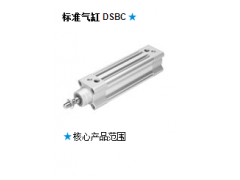 ����ʿ�̳�