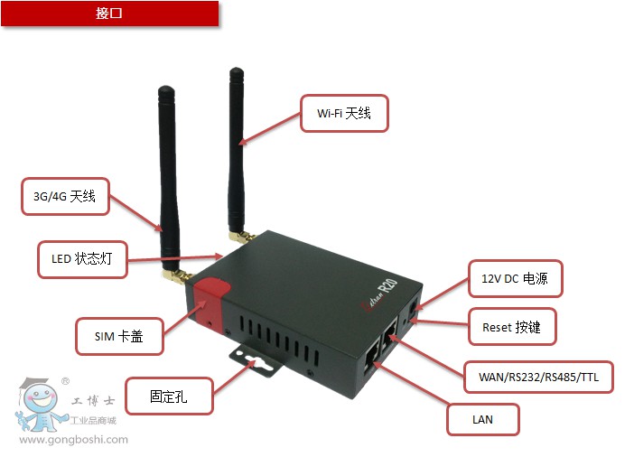 �����I���o��·����R20�ӿڈD