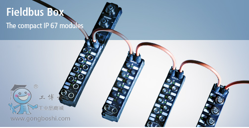 �����F(xi��n)���������Ӻ�