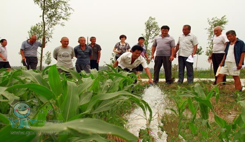 ���ܹ�ȿ�����