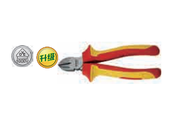 ����ʿ�̳�