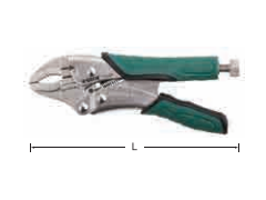 ����ʿ�̳�