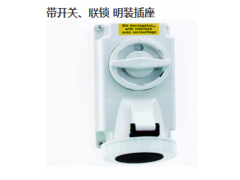 ����ʿBS160058���_�P���i���b���� 500V/16A/5P/IP67