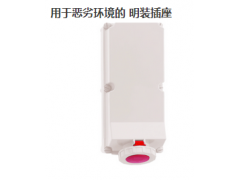 ����ʿBS11815���ӭh�����b���� 400V/125 A/5P/IP67