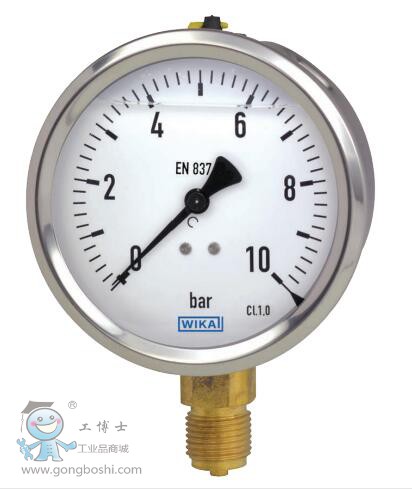 WIKA���� 213.53ϵ�Љ�����