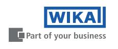 WIKA���� ͨ��LOGO