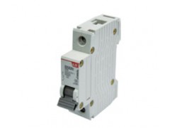 ����ʿ�̳�