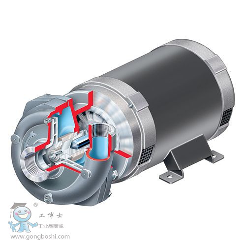 ���I���̱� - SMP