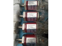 ����ʿ�̳�