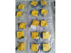 ����ʿ�̳�