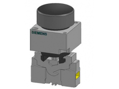 ����ʿ�̳�