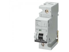 ����ʿ�̳�