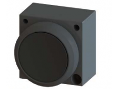 ����ʿ�̳�