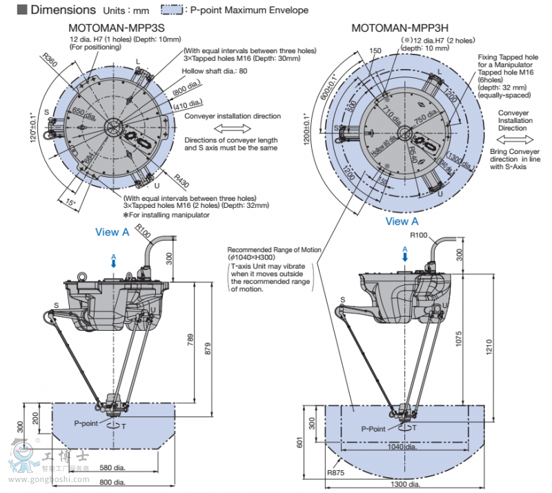 �����ߴ�D