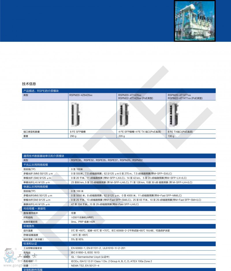 RSPE���Q�C_2