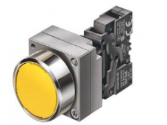 ����ʿ�̳�