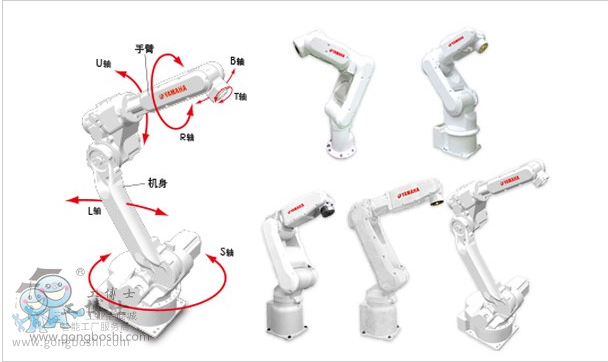 ���R���C���˳���