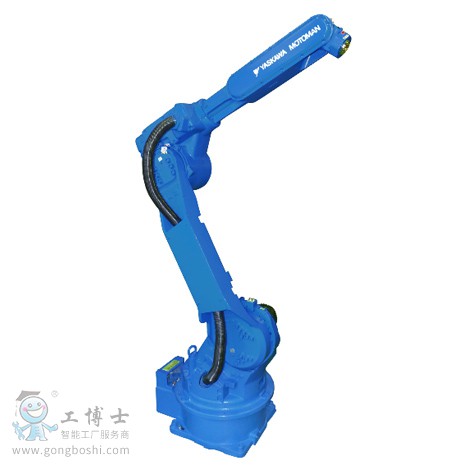 �����C����