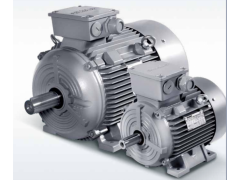 ����ʿ�̳�