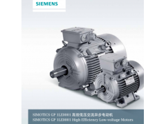 ����ʿ�̳�