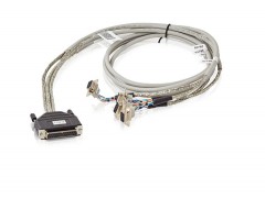 ����ʿ�̳�