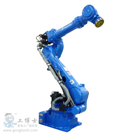 �����C����