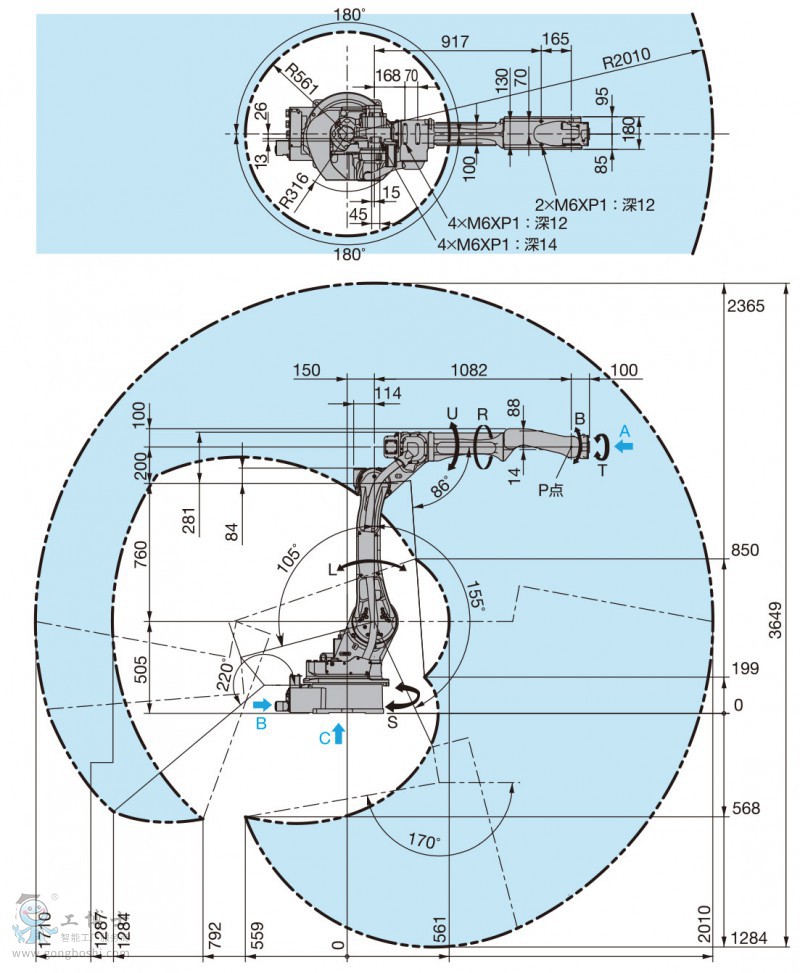 �����C����