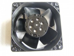 ����ʿ�̳�