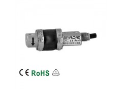 ����ʿ�̳�