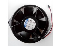 ����ʿ�̳�