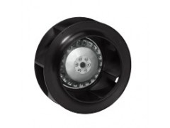 ����ʿ�̳�