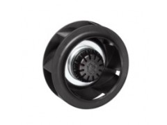 ����ʿ�̳�