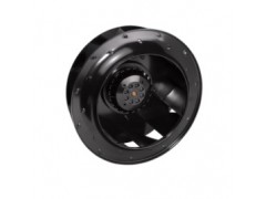 ����ʿ�̳�