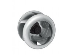 ����ʿ�̳�