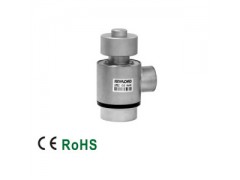 ����ʿ�̳�