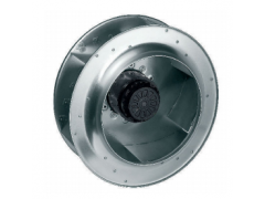 ����ʿ�̳�