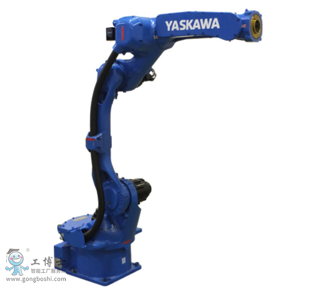 �����C����