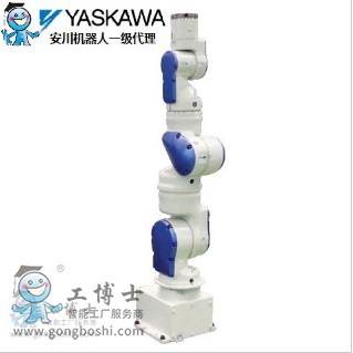 ����SIA5F�αۅf���C����