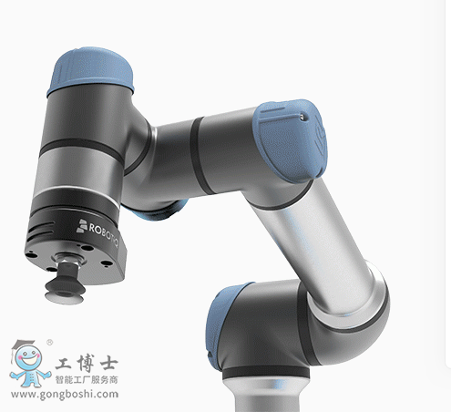 �����C����