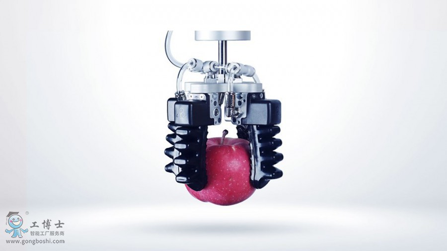 �����C����