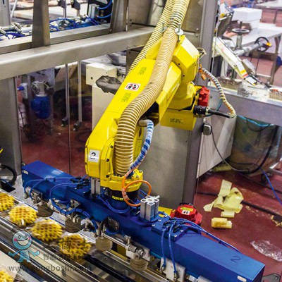 �l�ǿƙC����