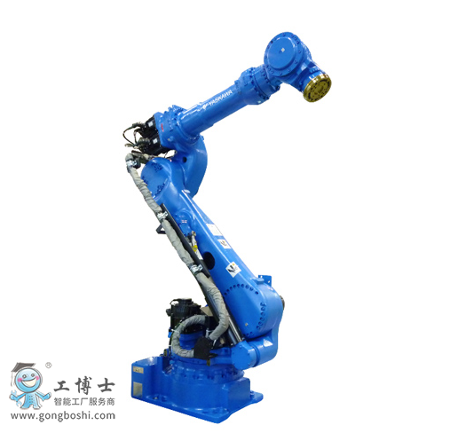 �����C����